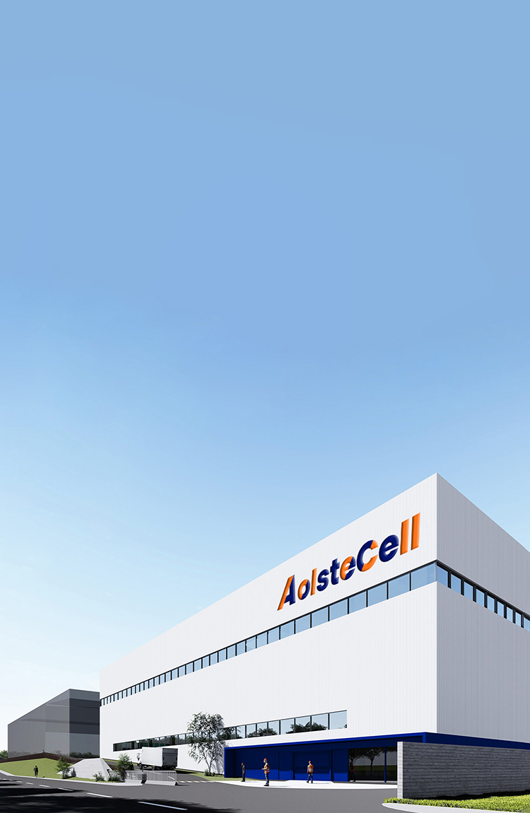 aolstecell.net