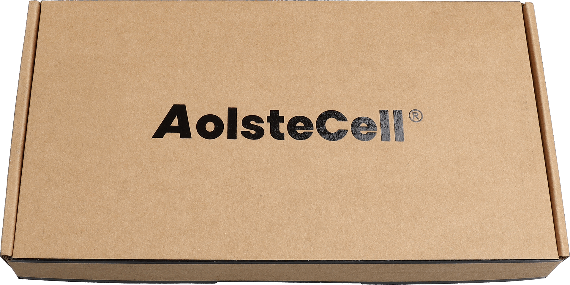 aolstecellbattery