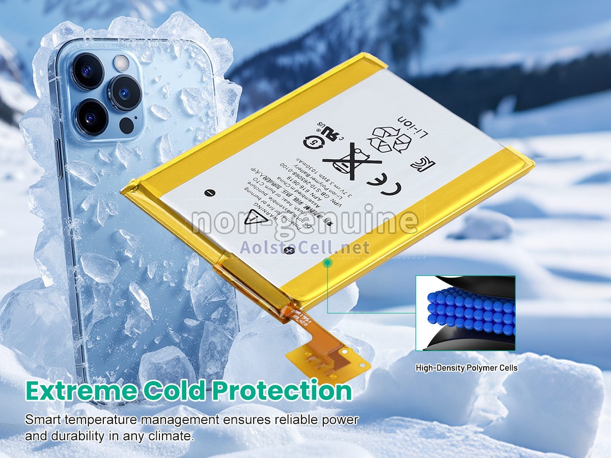 battery replacement Apple A1421