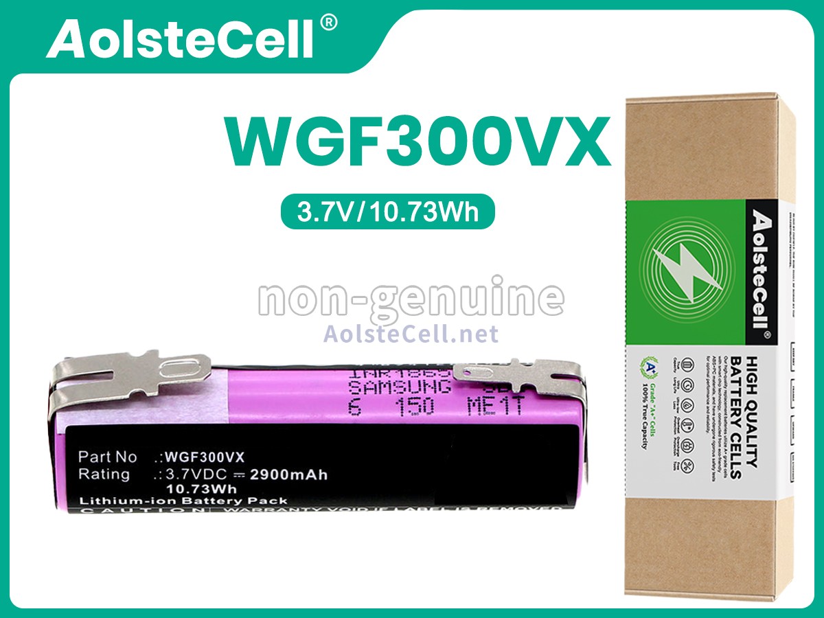 Battery for Karcher WV2 Plus