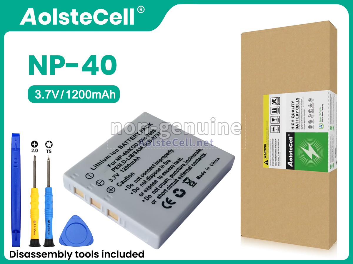 battery replacement Minolta NP1