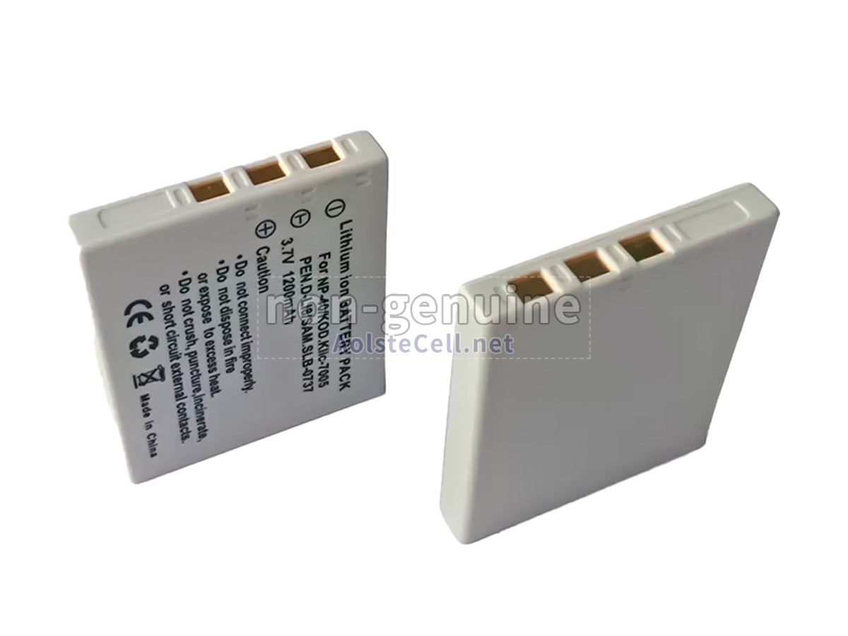 battery replacement Minolta NP1