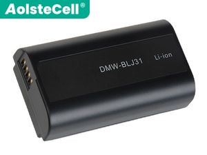 Battery for Panasonic DC-S1R