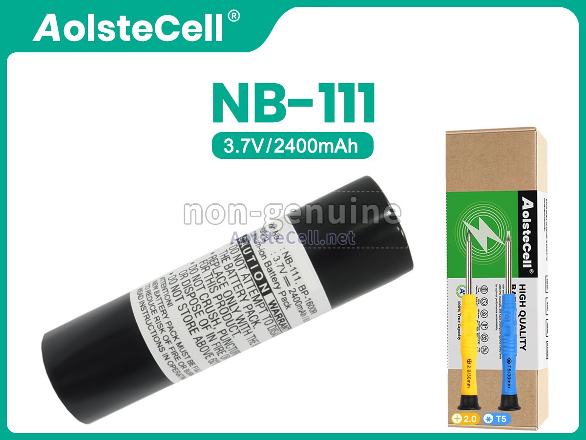 battery replacement Sony MD-MS200