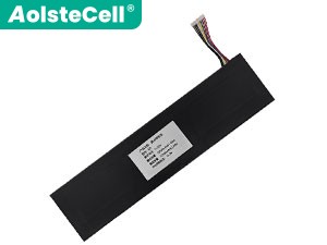 Battery for TongfangPC B20